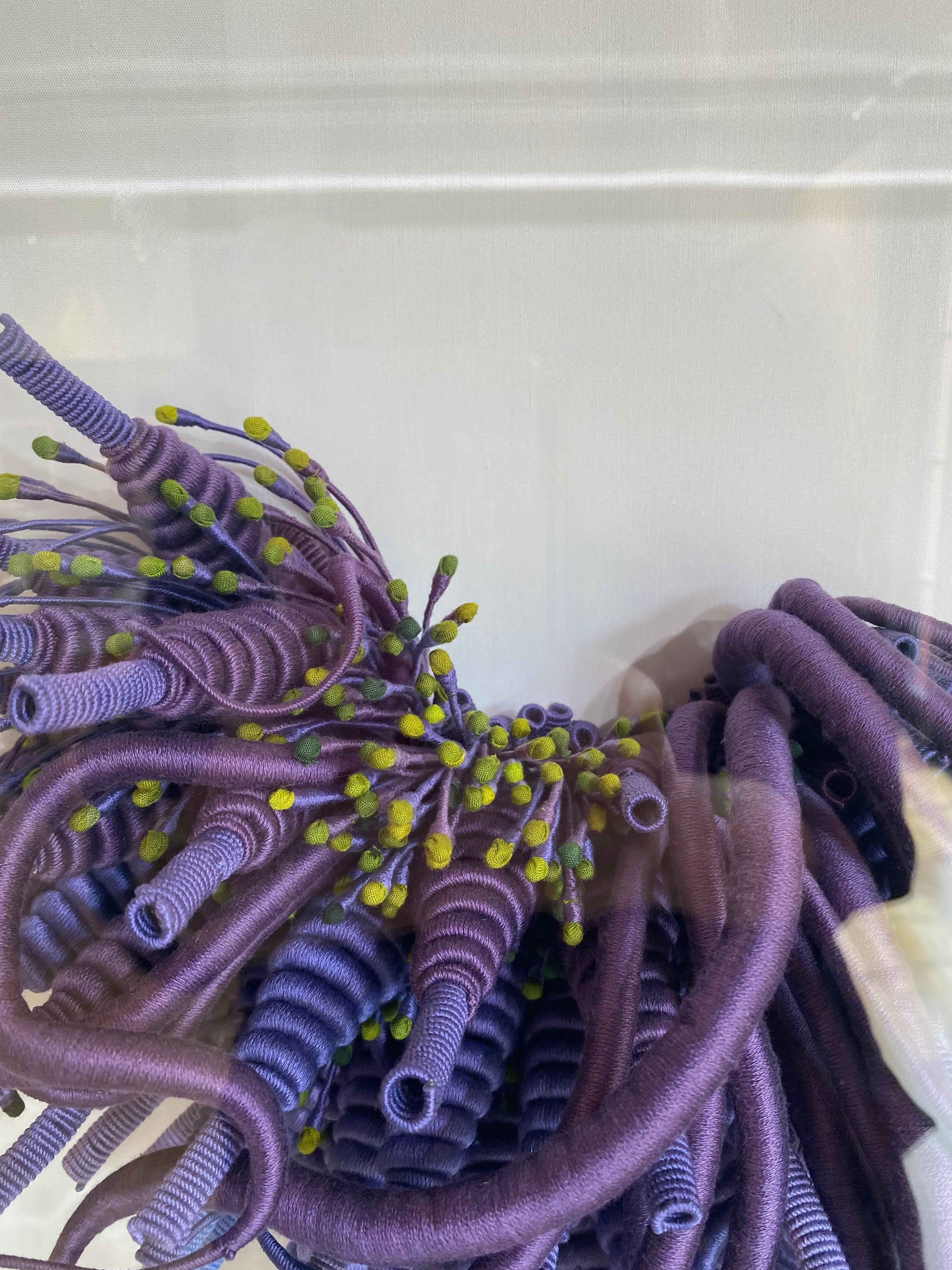 Specimen 24, Framed Sea Nature Inspired Hand-dyed Purple, Blue Fiber Sculpture For Sale 1