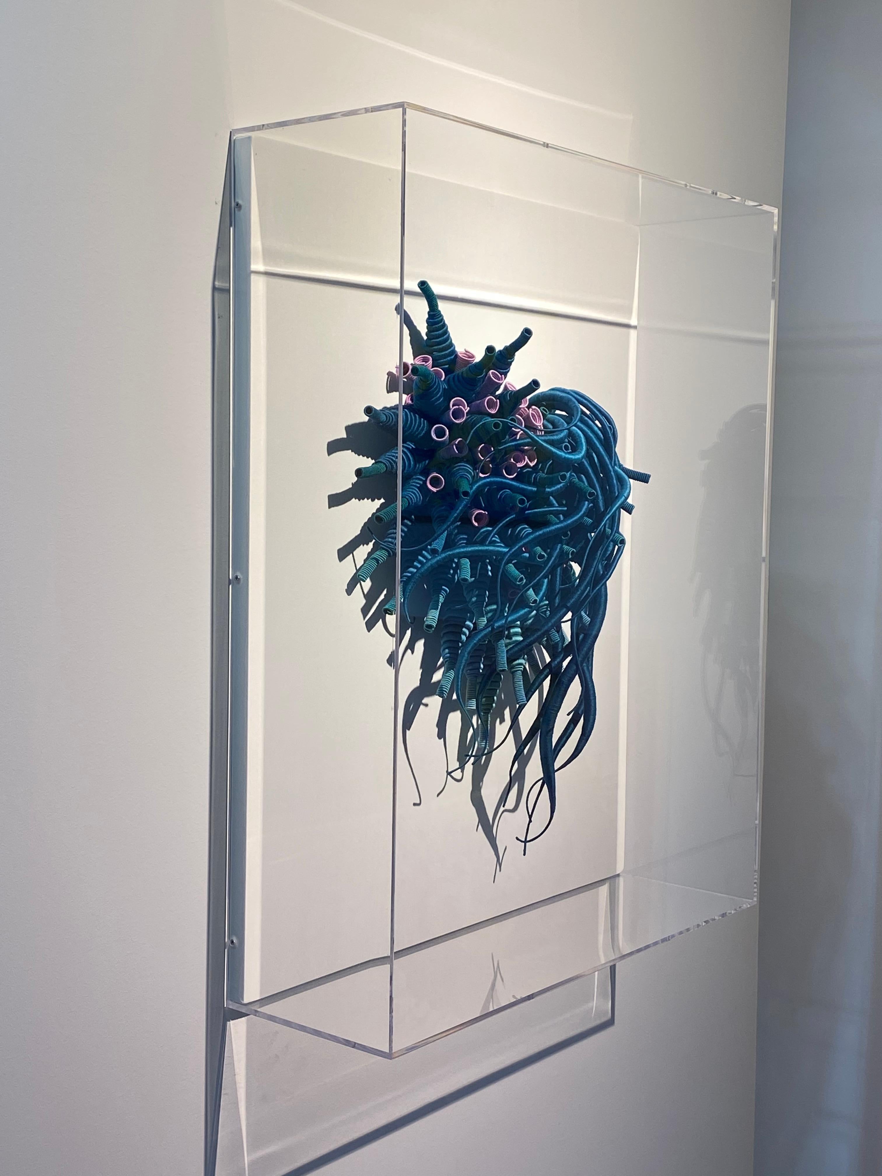 Specimen 25 - Framed Sea Nature Inspired Hand-dyed Teal Blue Fiber Sculpture For Sale 9