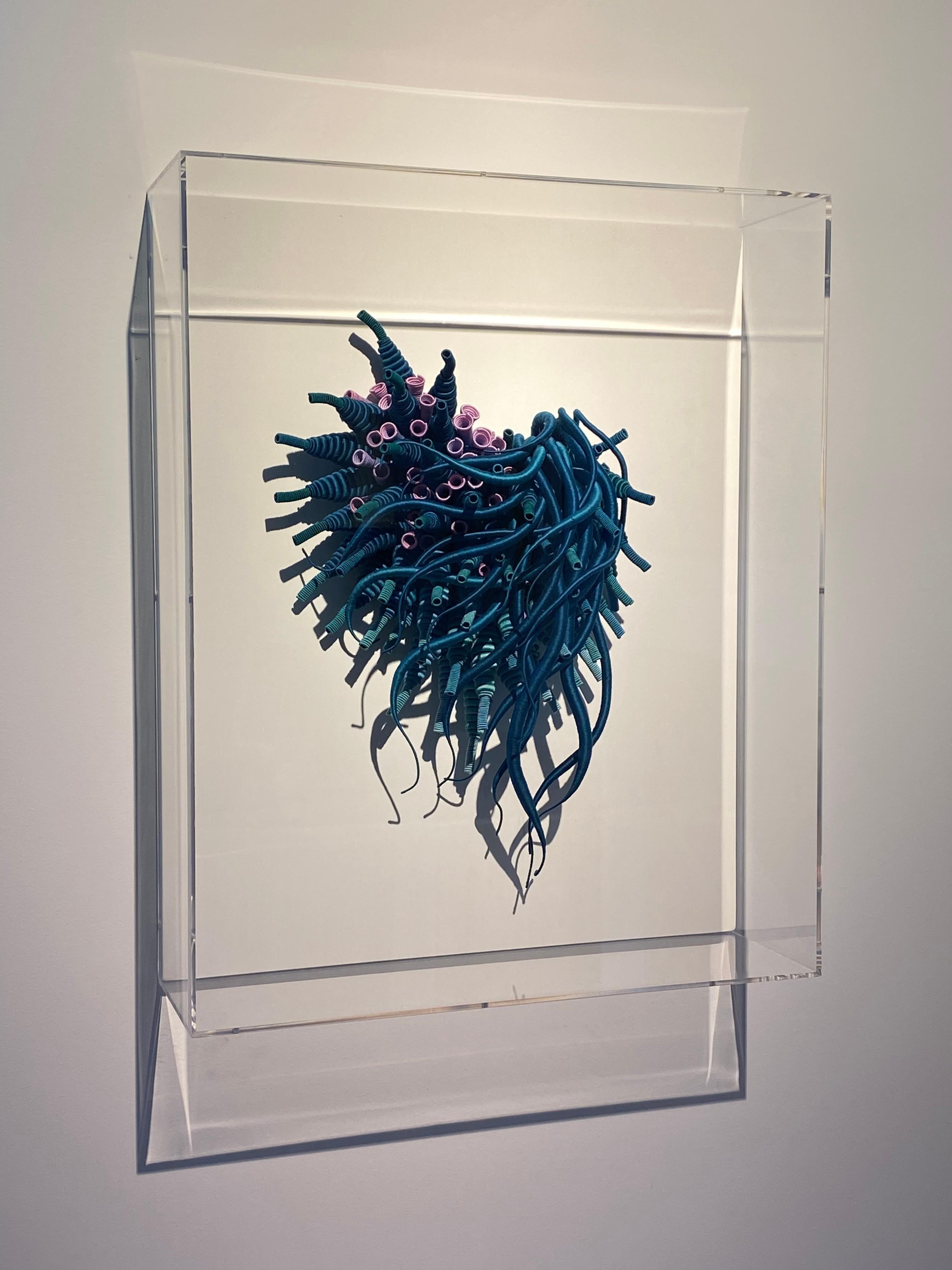 Framed in a clear acrylic shadowbox, Catherine Latson's contemporary wall-mounted fiber sculpture Specimen 25 reads as an artistic rendition of a beautiful sea specimen. Rich, jewel-toned teal blue hand-dyed cotton thread is wrapped around tendrils