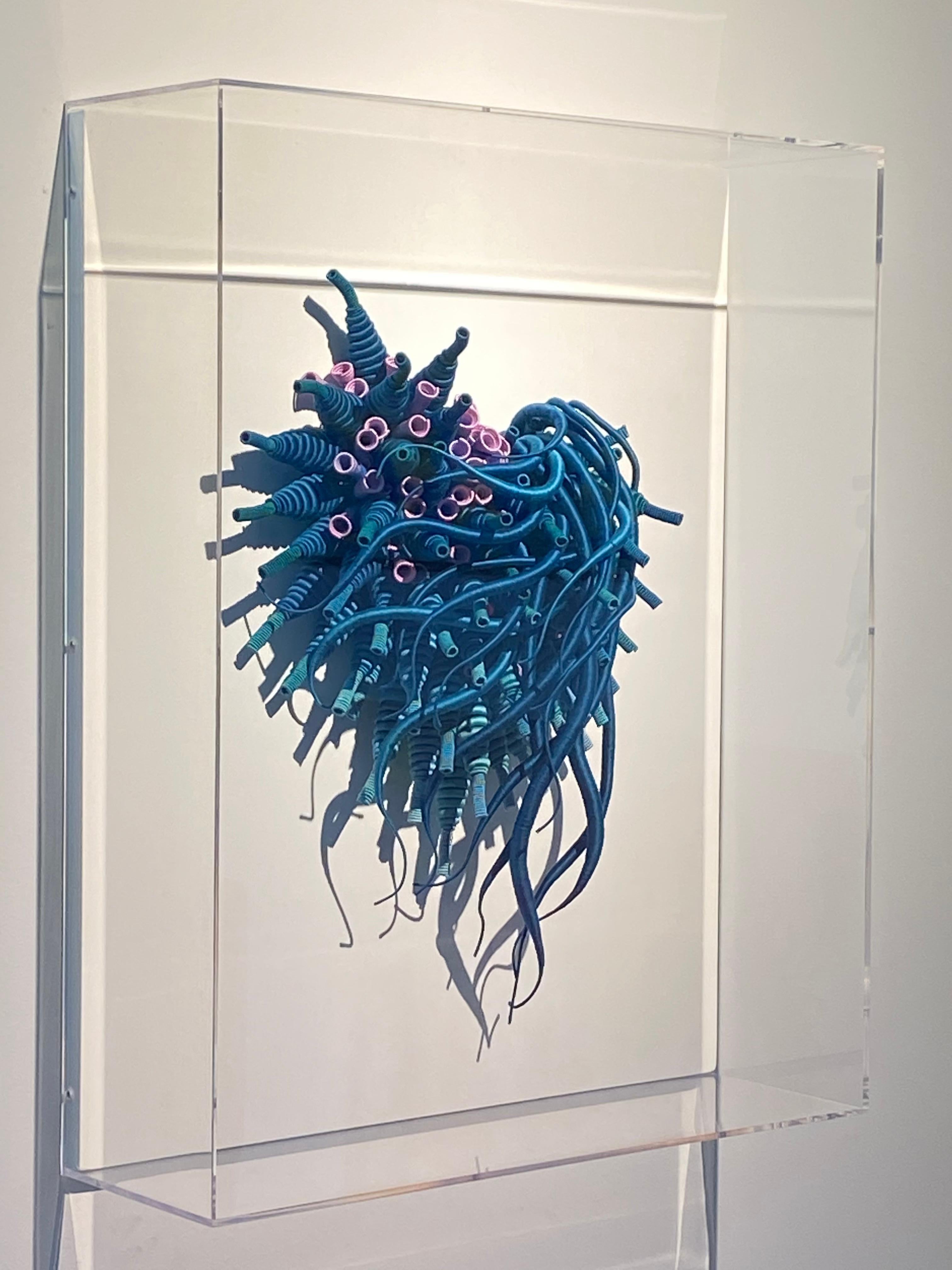 Framed in a clear acrylic shadowbox, Catherine Latson's Specimen 25 reads as an artistic rendition of a beautiful sea specimen. Rich, jewel-toned teal blue hand-dyed cotton thread is wrapped around tendrils that stretch from a delicate cluster of