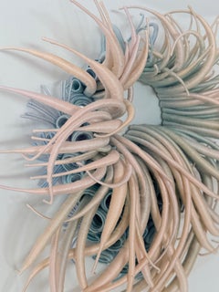 Specimen 43 - Framed Hand-dyed Thread Sea Creature Nature Fiber Sculpture, 2025