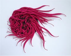 Specimen 8, Framed Burgundy Red Nature Inspired Hand-dyed Thread Fiber Sculpture