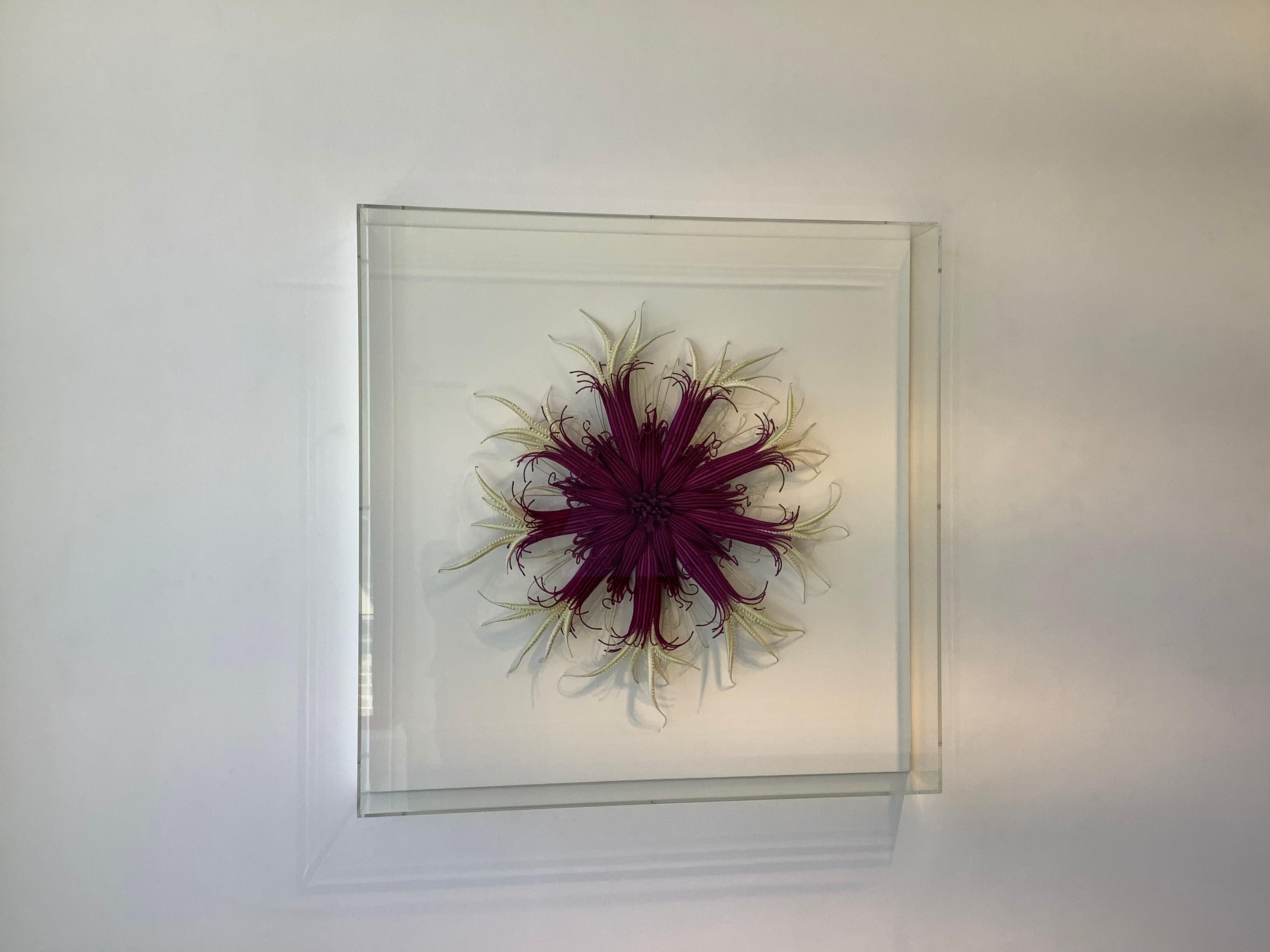 Framed in a clear acrylic shadowbox, Catherine Latson's Specimen Sixteen reads as an artistic rendition of a beautiful sea specimen. Rich, jewel-toned burgundy purple hand-dyed cotton thread is wrapped around tendrils that stretch from a delicate