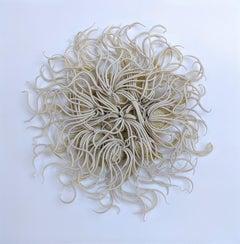 Specimen Twelve, Framed Sea Nature Inspired Hand-dyed Fiber Sculpture in Ivory