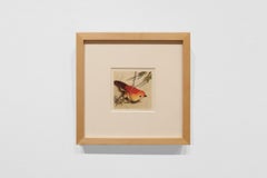 LONE BIRD #4 - Zeitgenössischer Realismus / Aquarell / Orangefarbener Spielzeugvogel