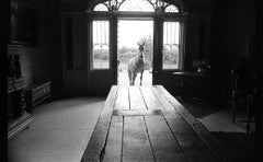 Vintage 20x24” Horse at Castle, County Mayo, Ireland - Silver Gelatin Print