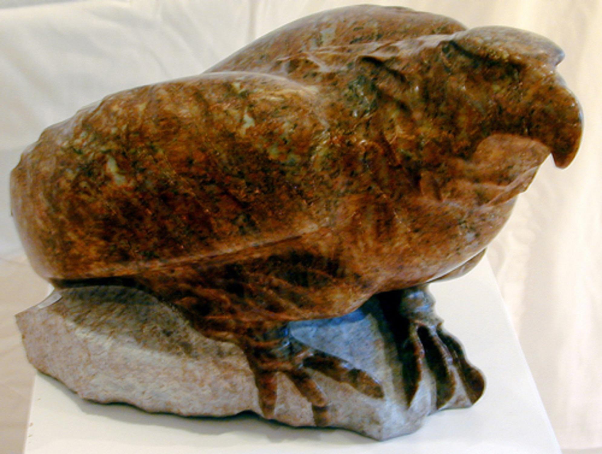 Cathryn Jenkins Figurative Sculpture - Eagle
