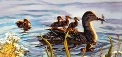 Entenküken machen Freifahrt über den Bibersee