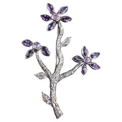 Brooches