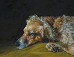 Pensive Penny, a long haired dachshund mix dog painting with exquisite detail