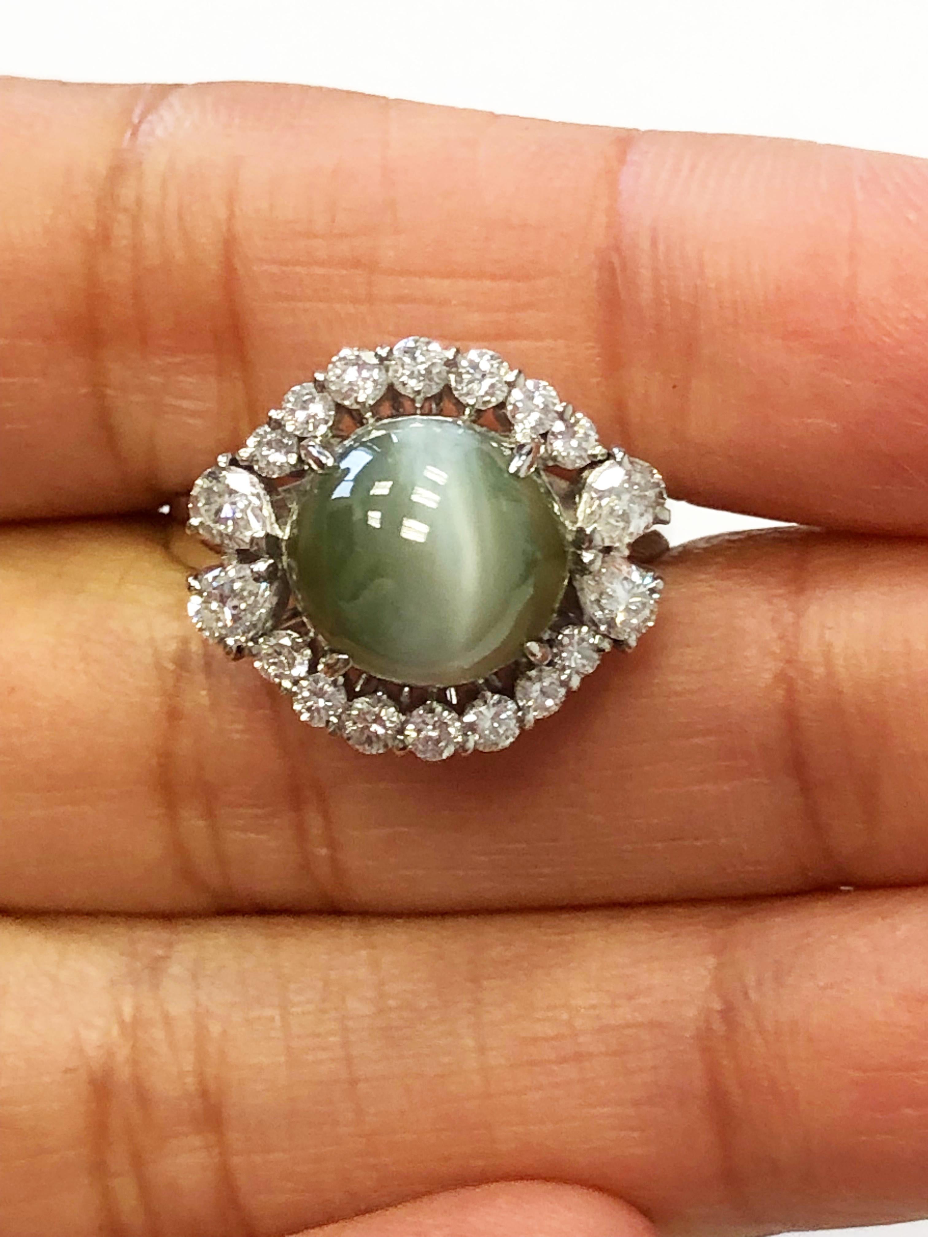 Cat's Eye Chrysoberyl Cabochon and White Diamond Round Ring in Platinum In New Condition In Los Angeles, CA