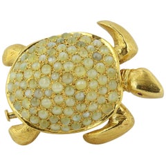 Cat's Eye Turtle Pin