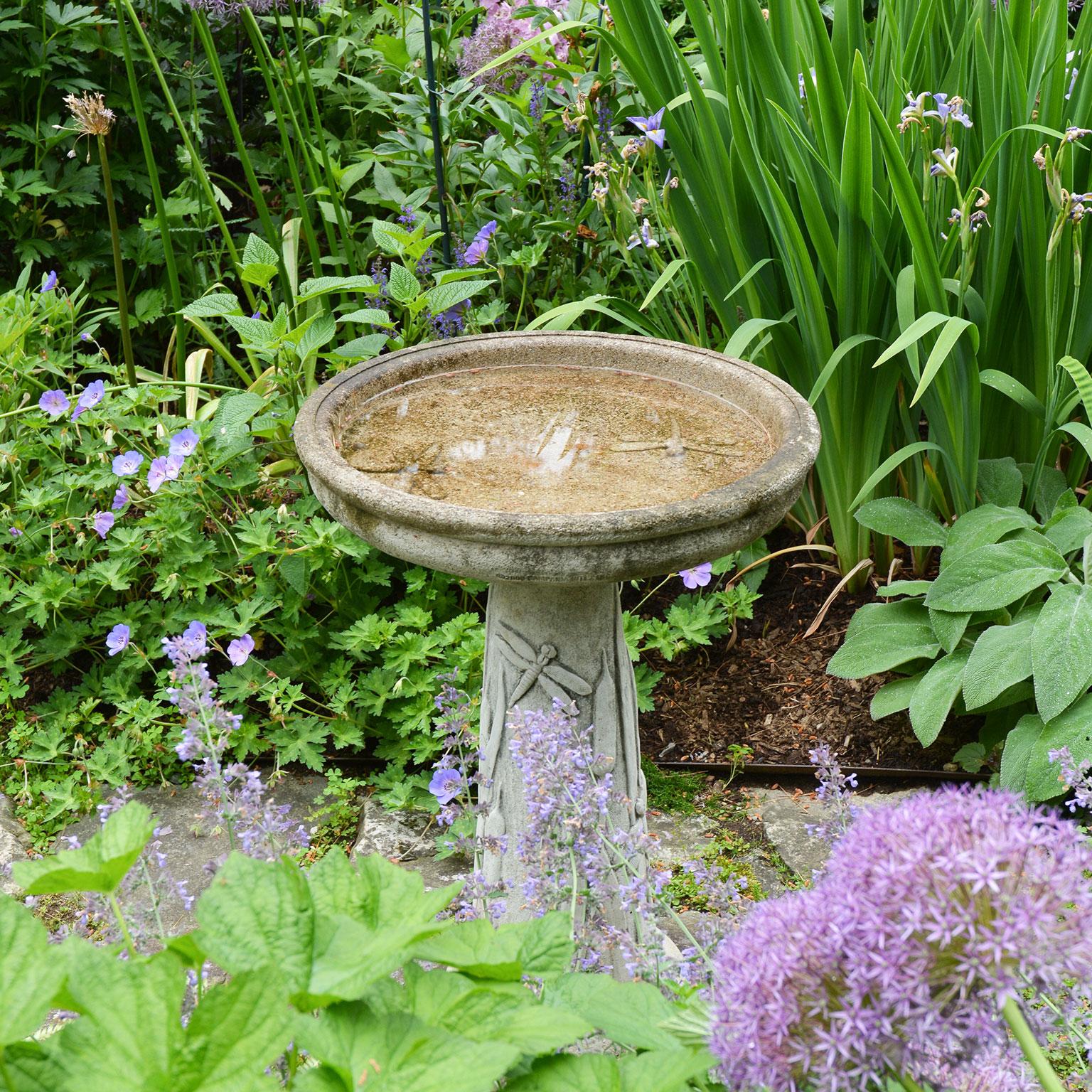 Rustic Stone Bird Bath with Leaf and Insect Decoration