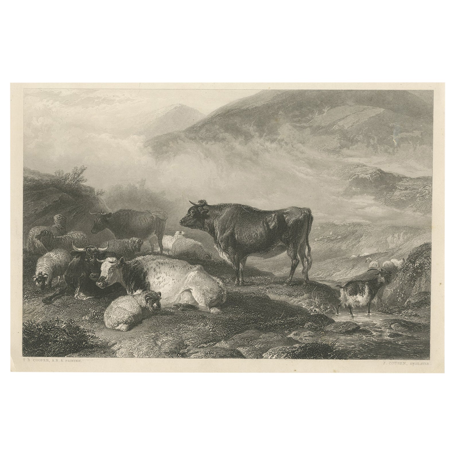 Bétail au petit matin - Gravure ancienne de 1849 par J. Cousen d'après T.S. Coopérateur en vente