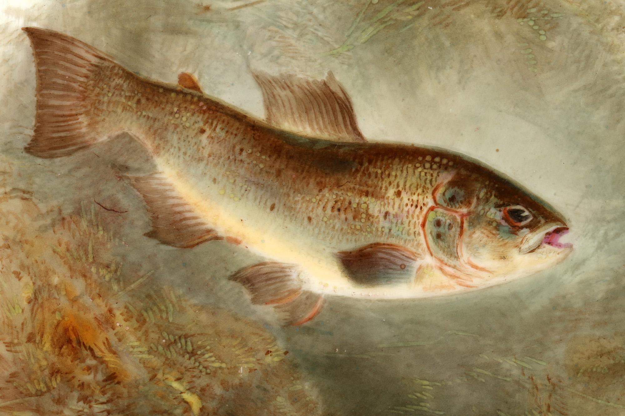Gilt Cauldon Porcelain Cabinet Plate Painted with a Salmon Trout by Joseph Birbeck