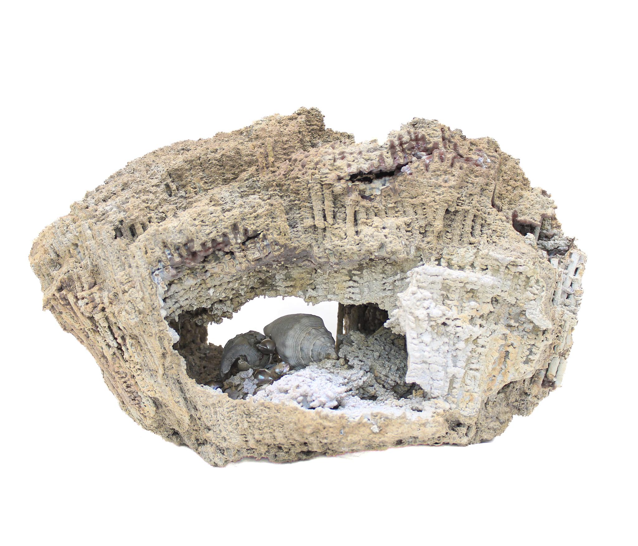 Agate fossile corail avec perles et coquillages baroques « Cauliflower » en vente 3