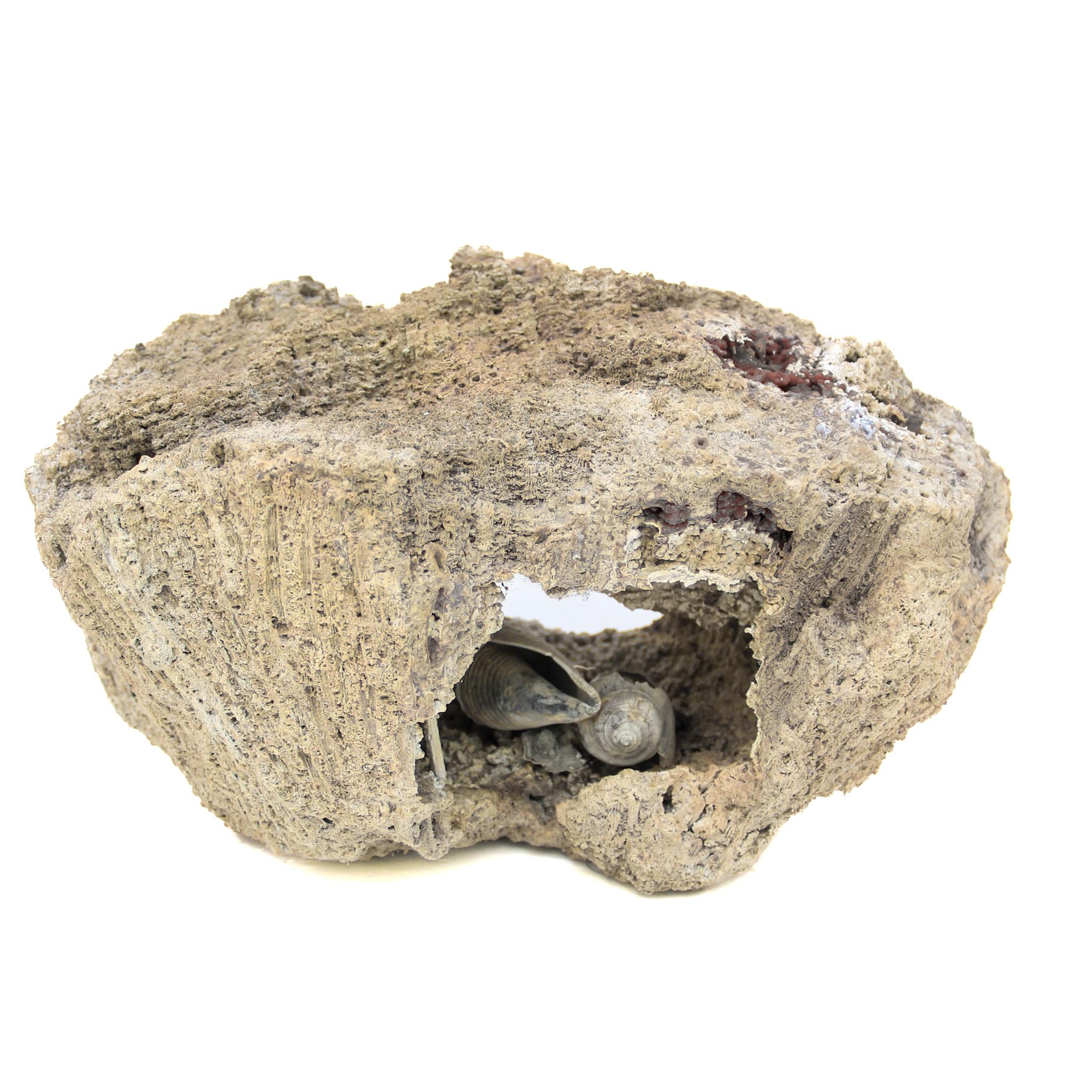 Agate fossile corail avec perles et coquillages baroques « Cauliflower » en vente 6