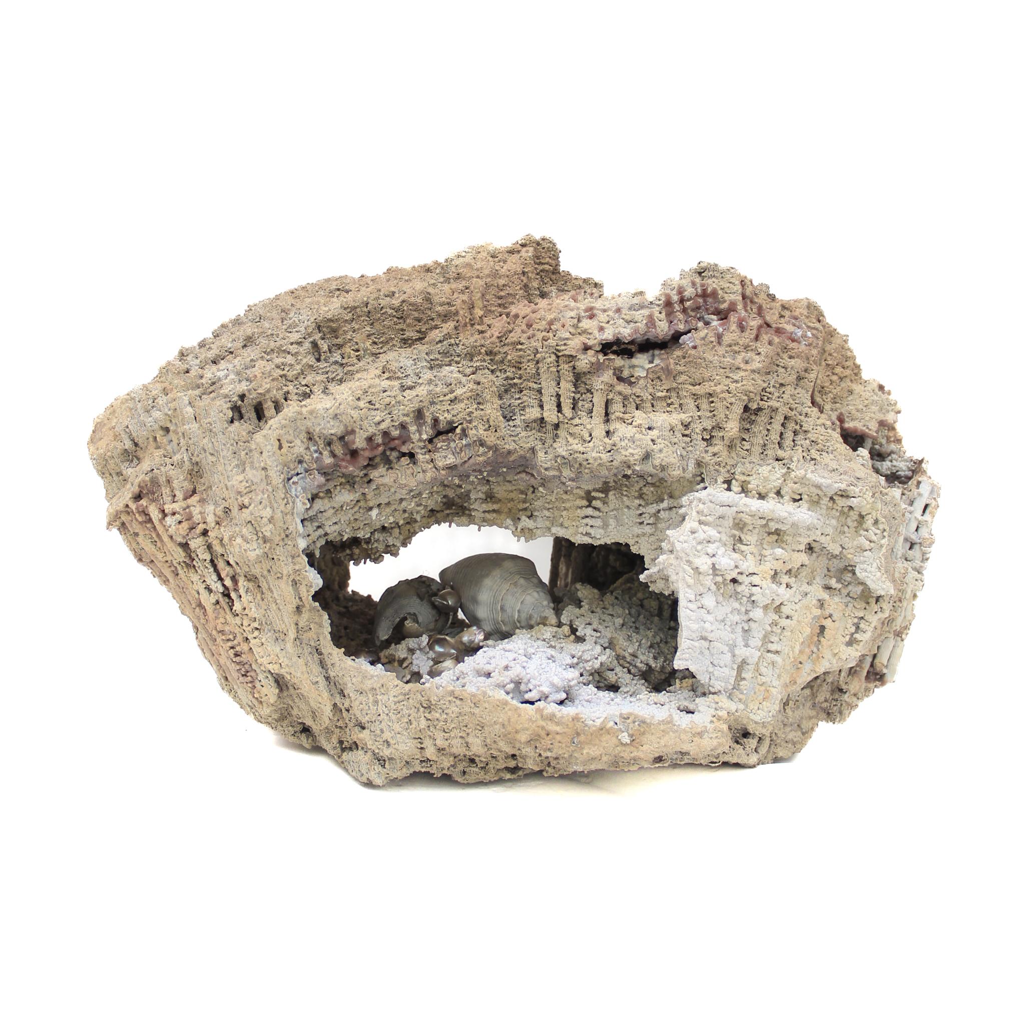 « Cauliflower », corail fossile d'agate orné de perles et de coquillages baroques de forme naturelle.

Le corail fossile d'agate est la pierre d'État de Floride et est connu pour sa formation unique qui peut avoir lieu pendant plus de 20 millions