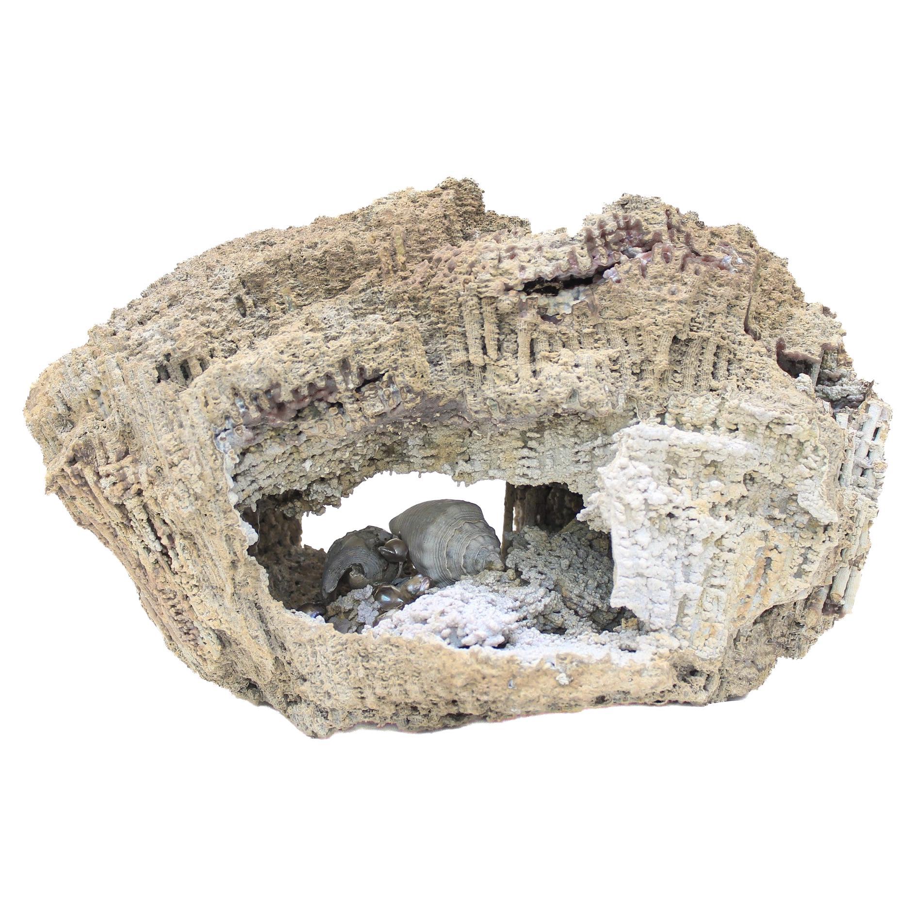 ""Cauliflower"" Fossil-Achat-Koralle mit Barockperlen und Muscheln im Angebot