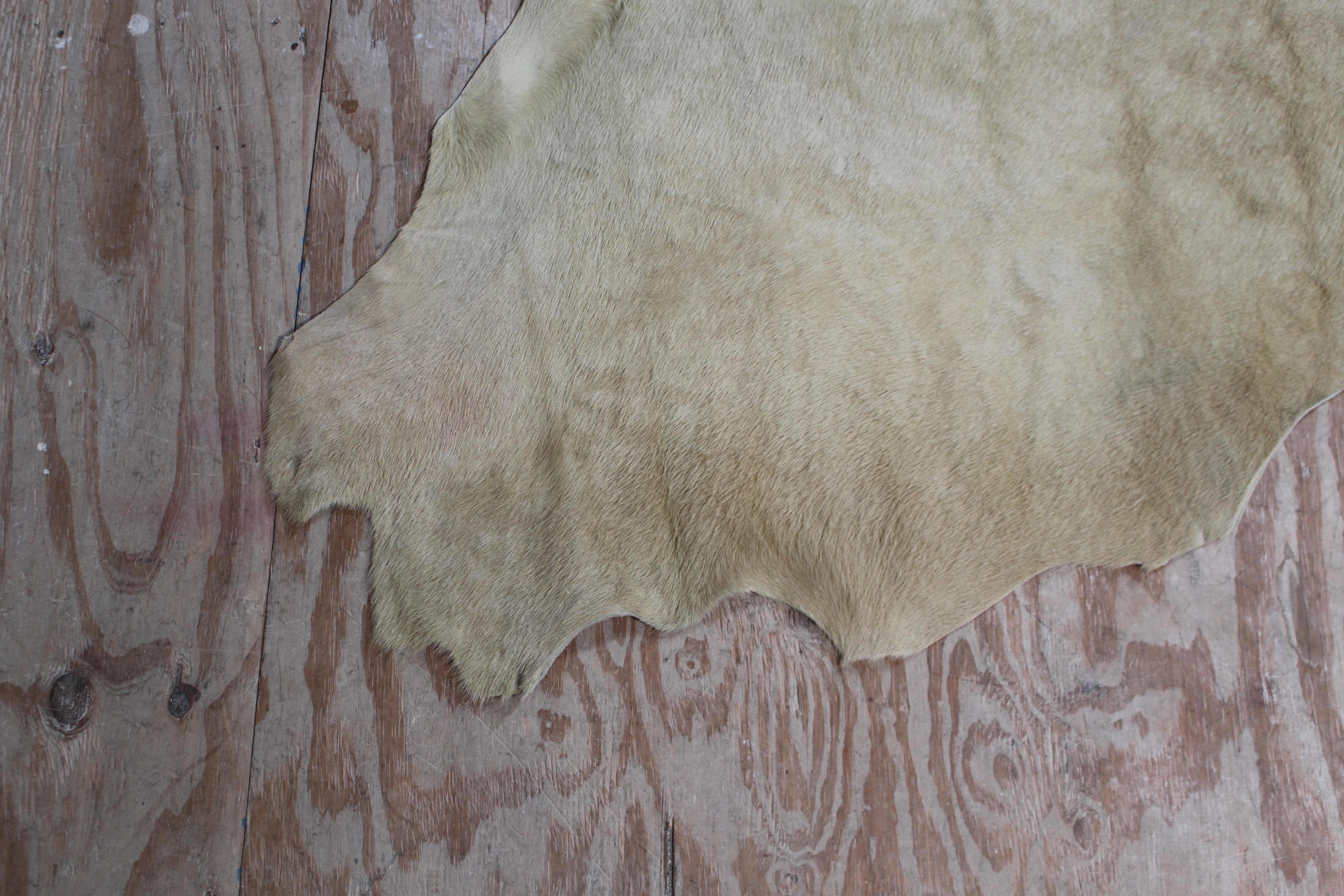 Tappeto Cavallini in pelle bovina in vendita 2