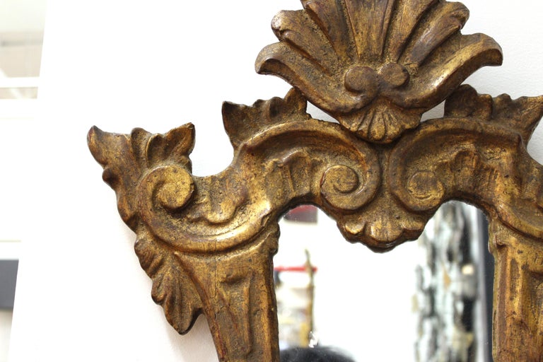 Cavallo Baroque Revival Carved Giltwood Mirror In Good Condition For Sale In New York, NY