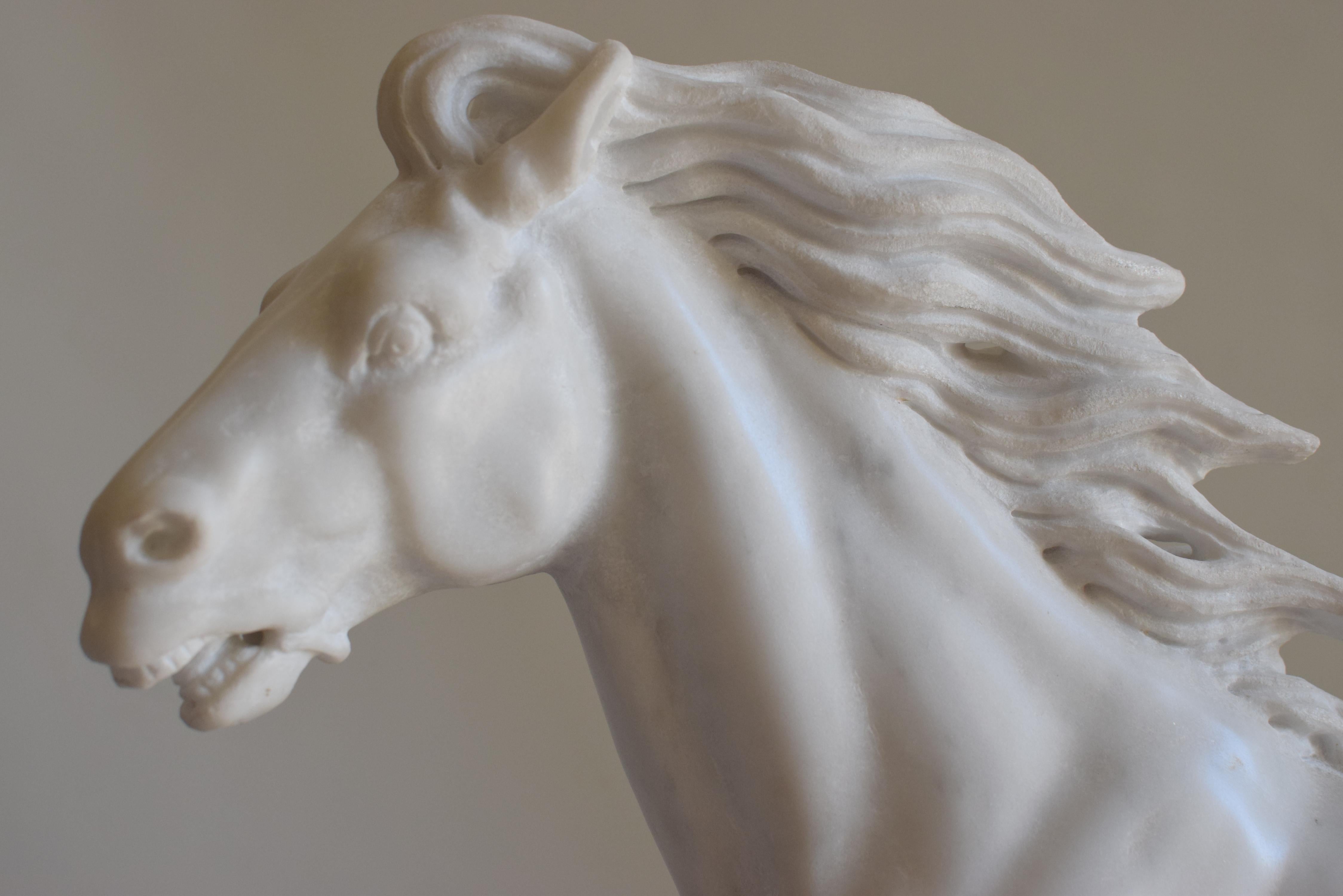 Horse, running horse, horse sculpture, marble horse,
Italian sculpture, made in Italy, white marble horse.
Valuable sculpture representing a running horse.
Carved on white Carrara marble in the Todini workshop in Tarquinia, Italy.
In very good