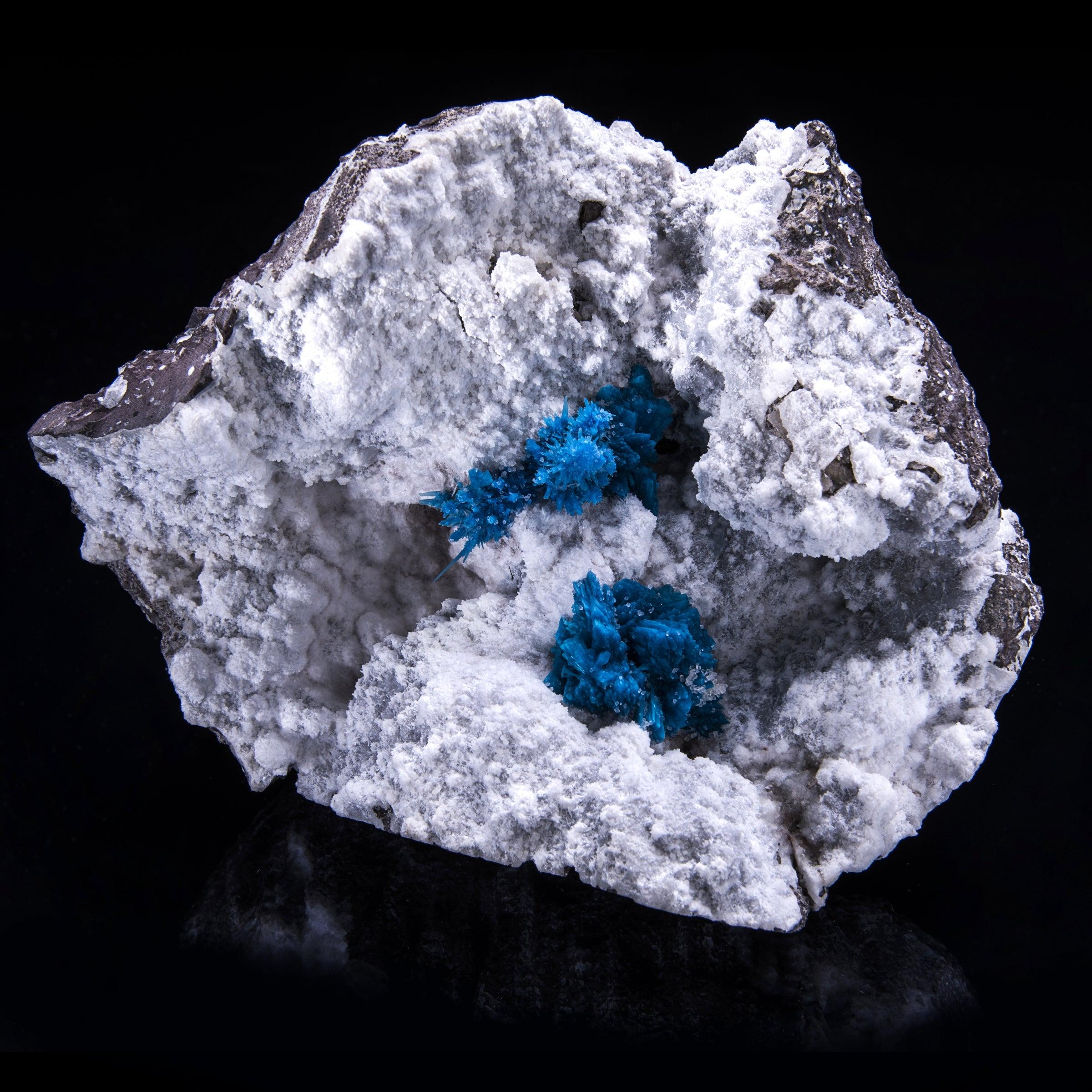 Punna, India

An absolutely showstopping specimen out of the mine in Punna, India. It features both the stunning blues of the cavansite and pentagonite highlighted against a white matrix creating a stark contrast. An incredible find as these two