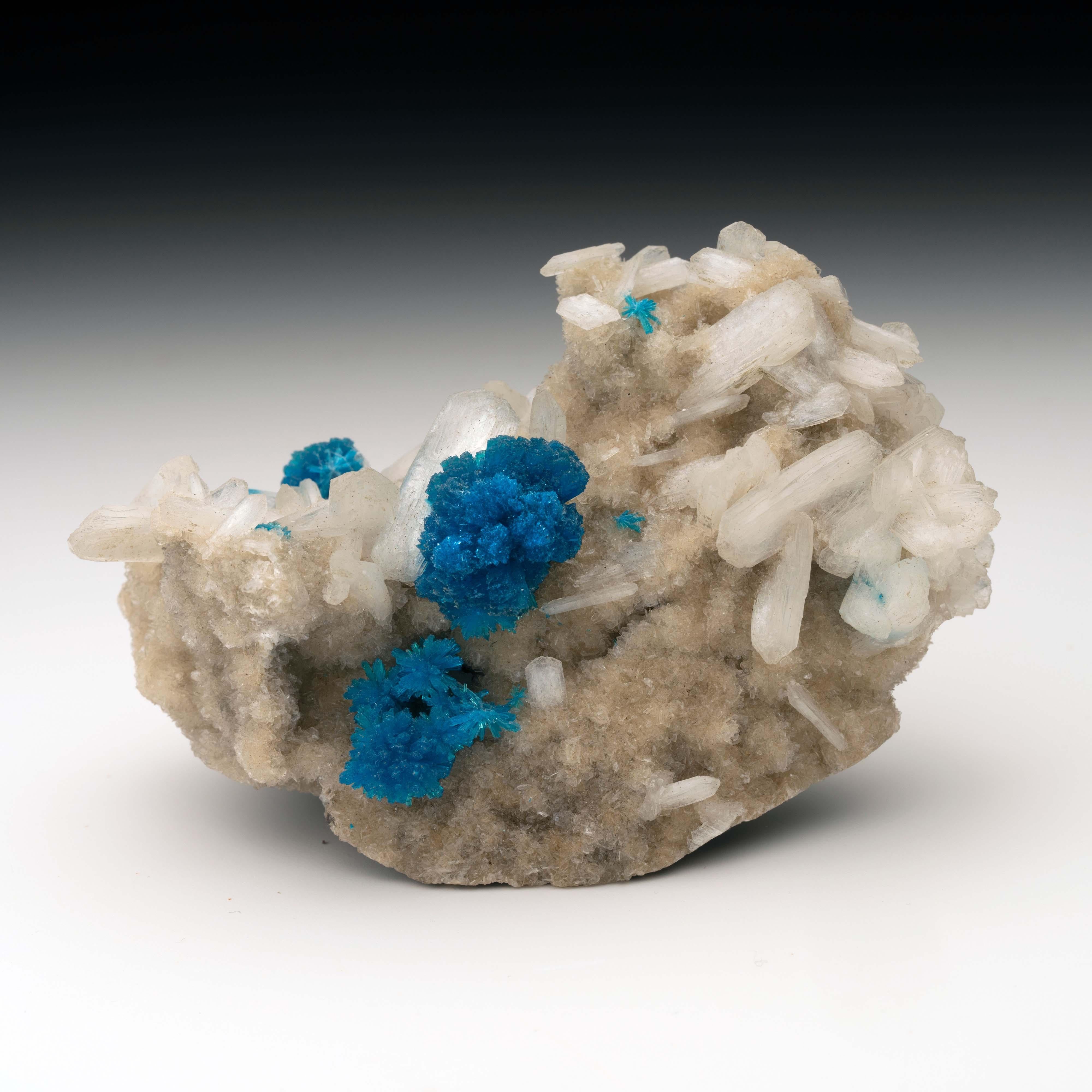 This uniquely shaped specimen features stunning blue cavansite highlighted against the backdrop of an off-white matrix accented by a scattering of white, waxy stilbite crystals. A unique piece to add color and texture to any fine minerals