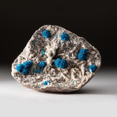 Cavansite auf Quarz aus Wagholi-Wurzelholz, Maharashtra, Indien