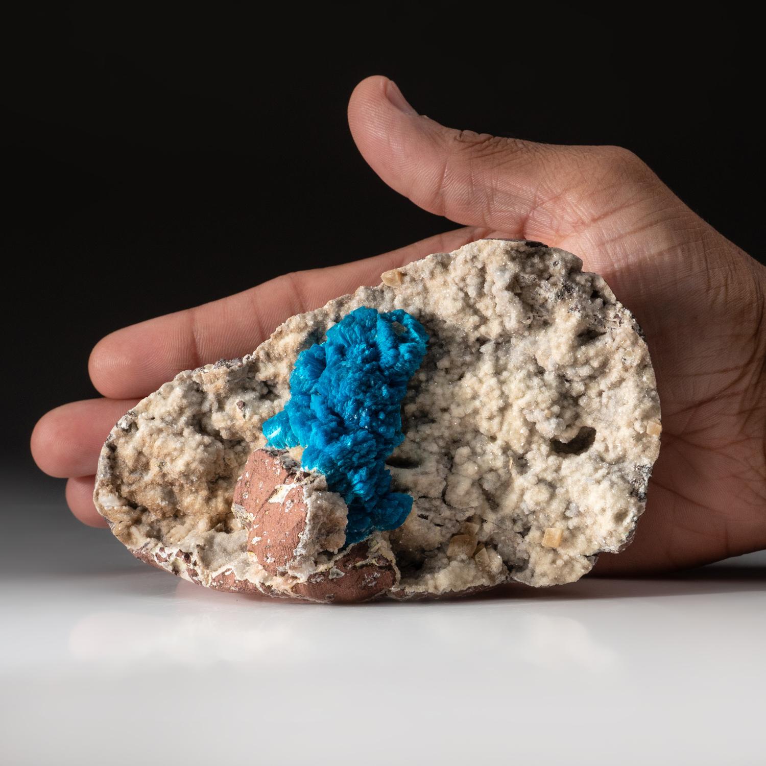 From Wagholi Quarry, Maharashtra, India

Vibrant royal blue cavansite in a large spherical aggregate on druzy quartz quartz matrix.   


369.7 grams, 5 x 1.5 x 3 inches