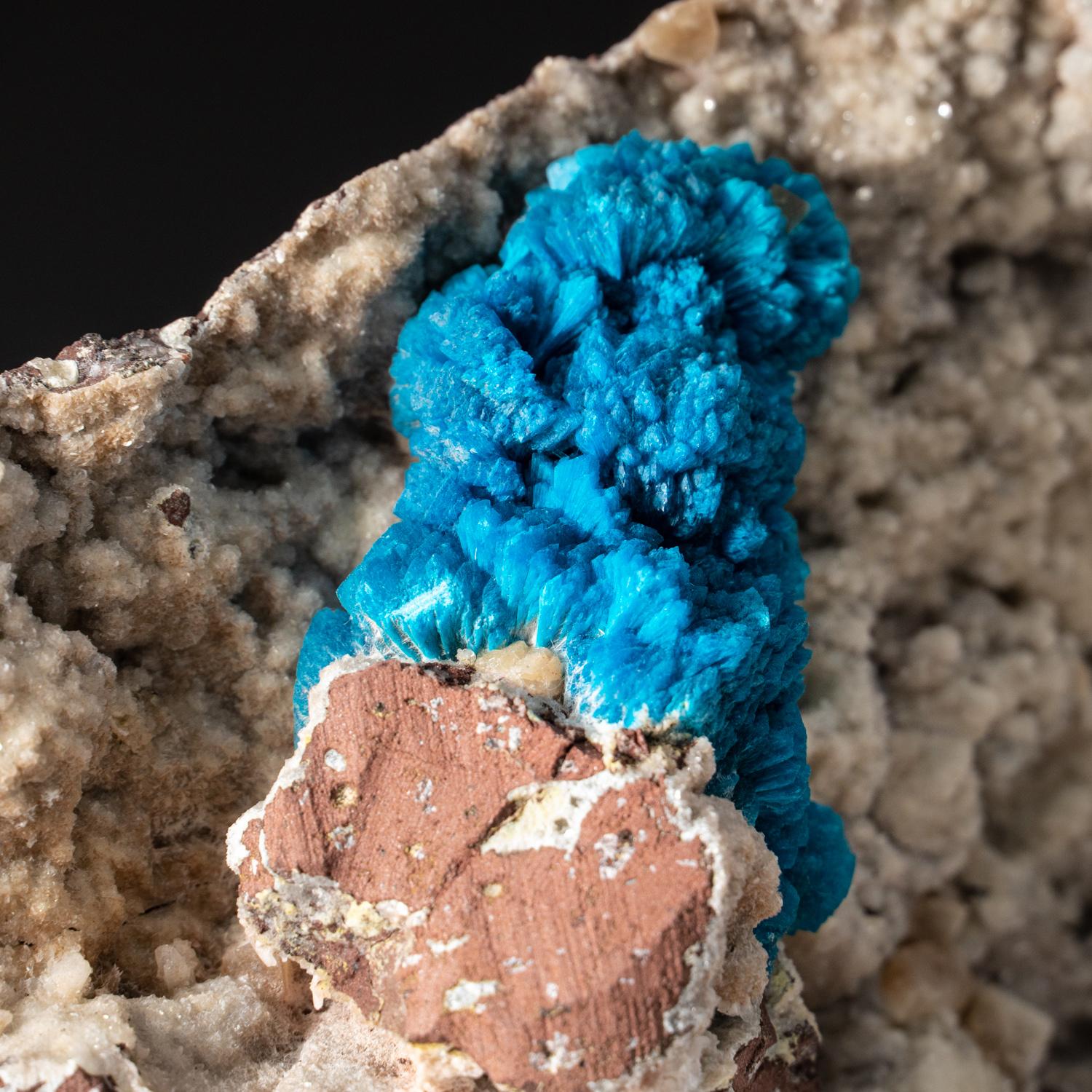 Cavansite on Quartz From Wagholi Quarry, Maharashtra, India In New Condition For Sale In New York, NY