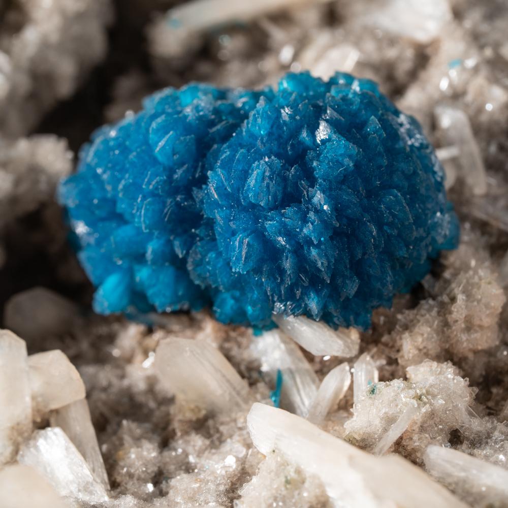 18th Century and Earlier Cavansite on Quartz From Wagholi Quarry, Maharashtra, India For Sale