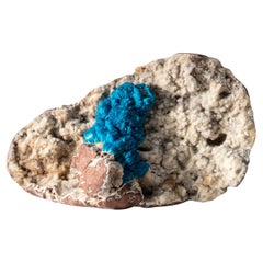 Cavansite su quarzo dalla cava di Wagholi, Maharashtra, India