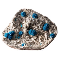 Antique Cavansite on Quartz From Wagholi Quarry, Maharashtra, India