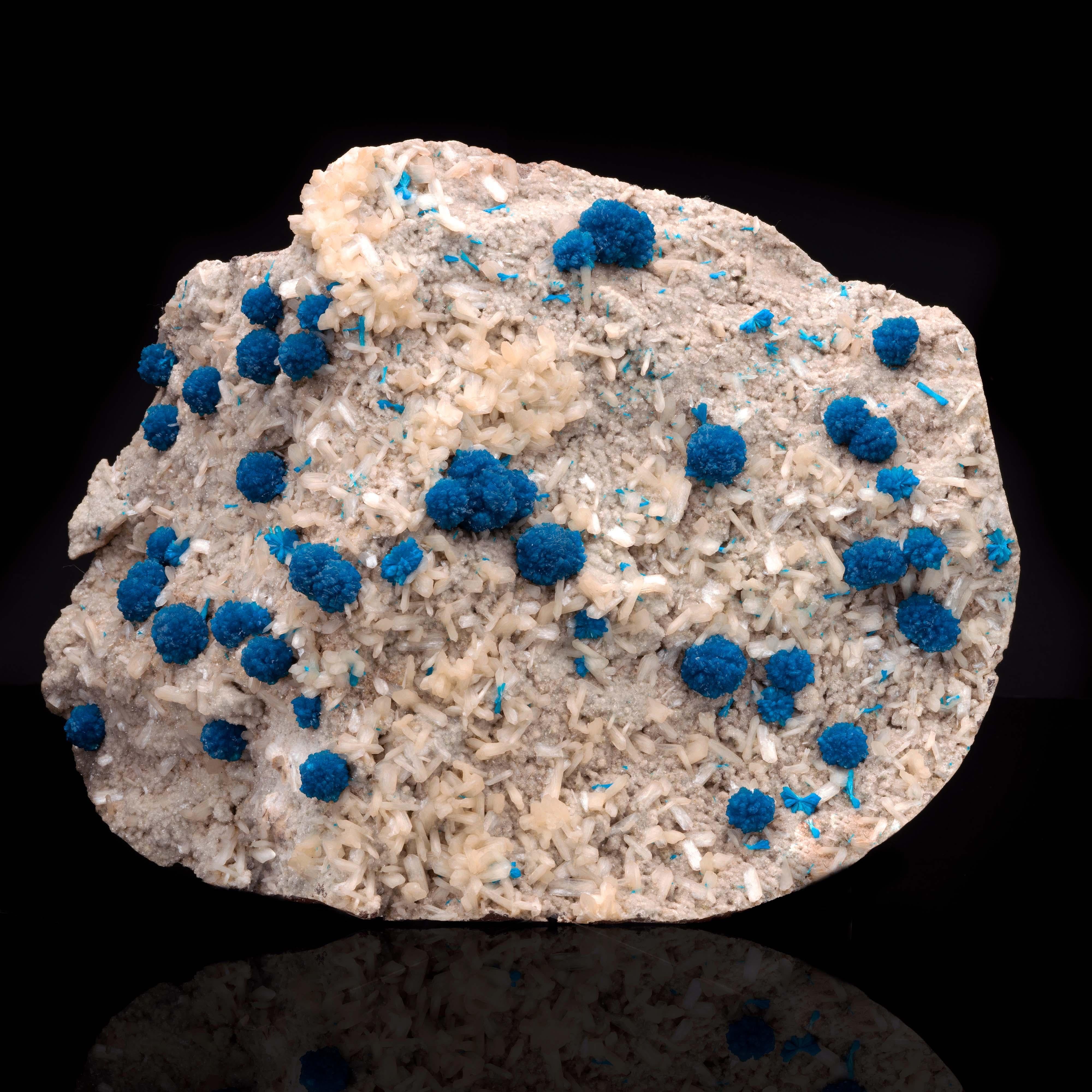 This is one of the largest and finest plates to come out of the famous and now-inactive mines of Wagholi in Pune, India. This 23.5 pound specimen offers abundant fully intact balls of gemmy, deeply pigmented blue cavansite dipped in druze on an