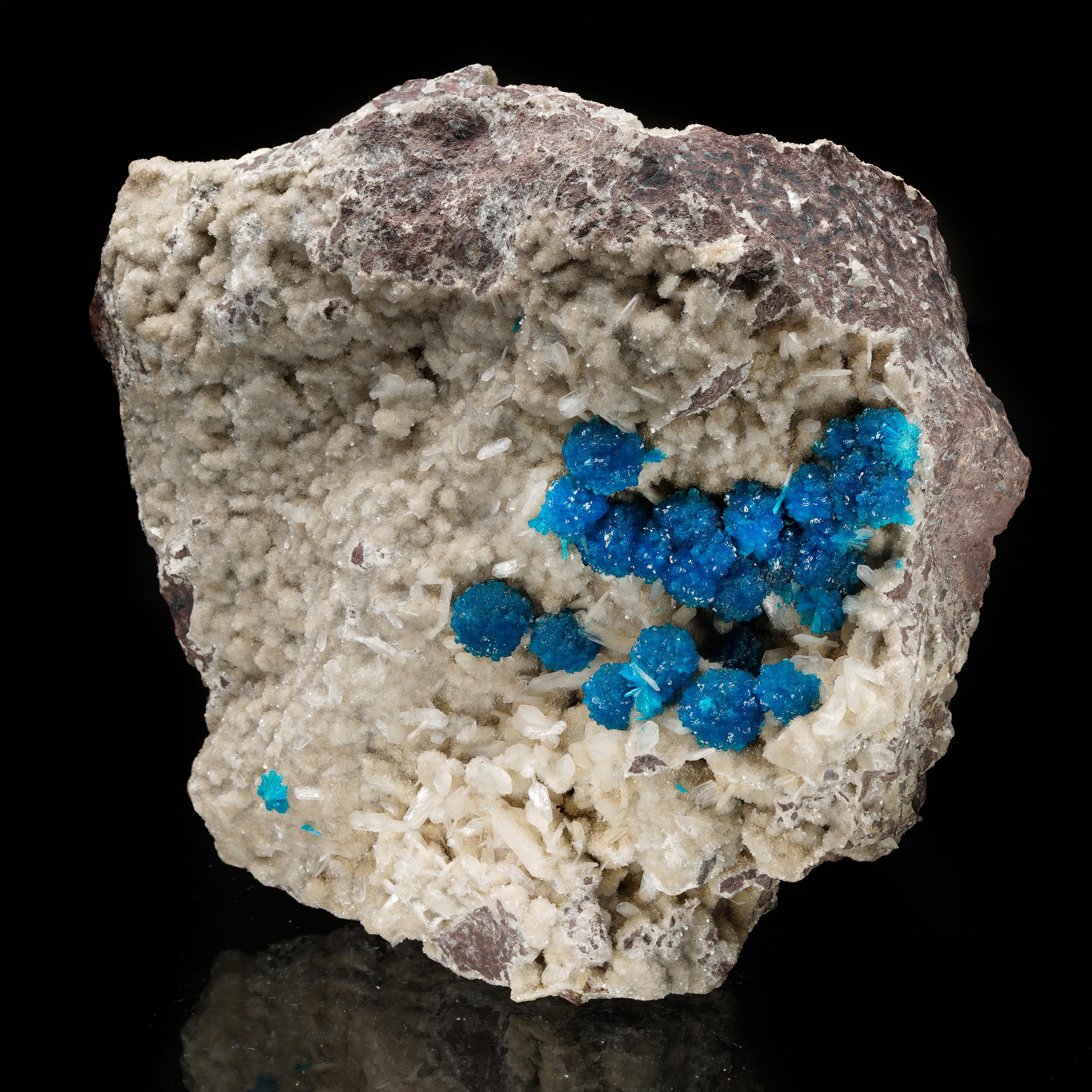 This is a fine specimen of a dense cluster of deeply pigmented cavansite balls on a lustrous stilbite matrix out of the famous and now-inactive mines of Wagholi in Pune, India. This specimen offers abundant intact balls of gemmy, deeply pigmented