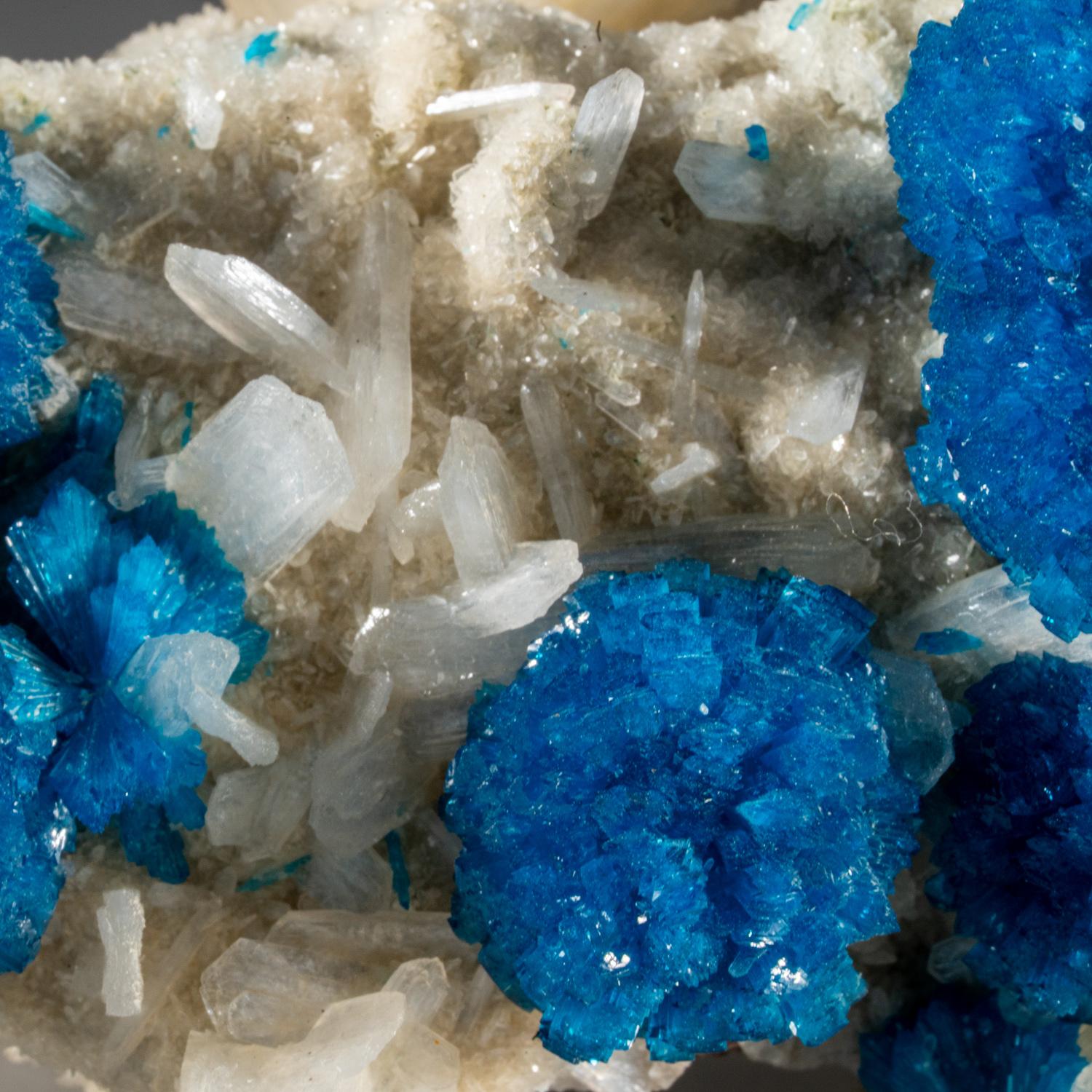 Dalla cava di Wagholi, Maharashtra, India

Diversi aggregati emisferici che irradiano cristalli di cavansite blu in cristalli traslucidi di quarzo druzy incolore. La matrice comprende anche piccoli cristalli isolati di Stilbite rombica. 

*Riceverai