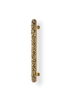 Caviar Cabinet Handle - Handcrafted Polished Brass - PullCast