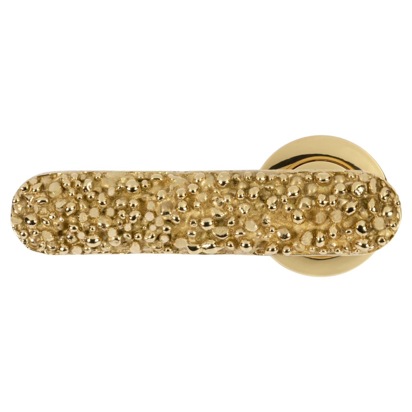 Caviar Door Lever - Handcrafted Polished Brass - PullCast For Sale