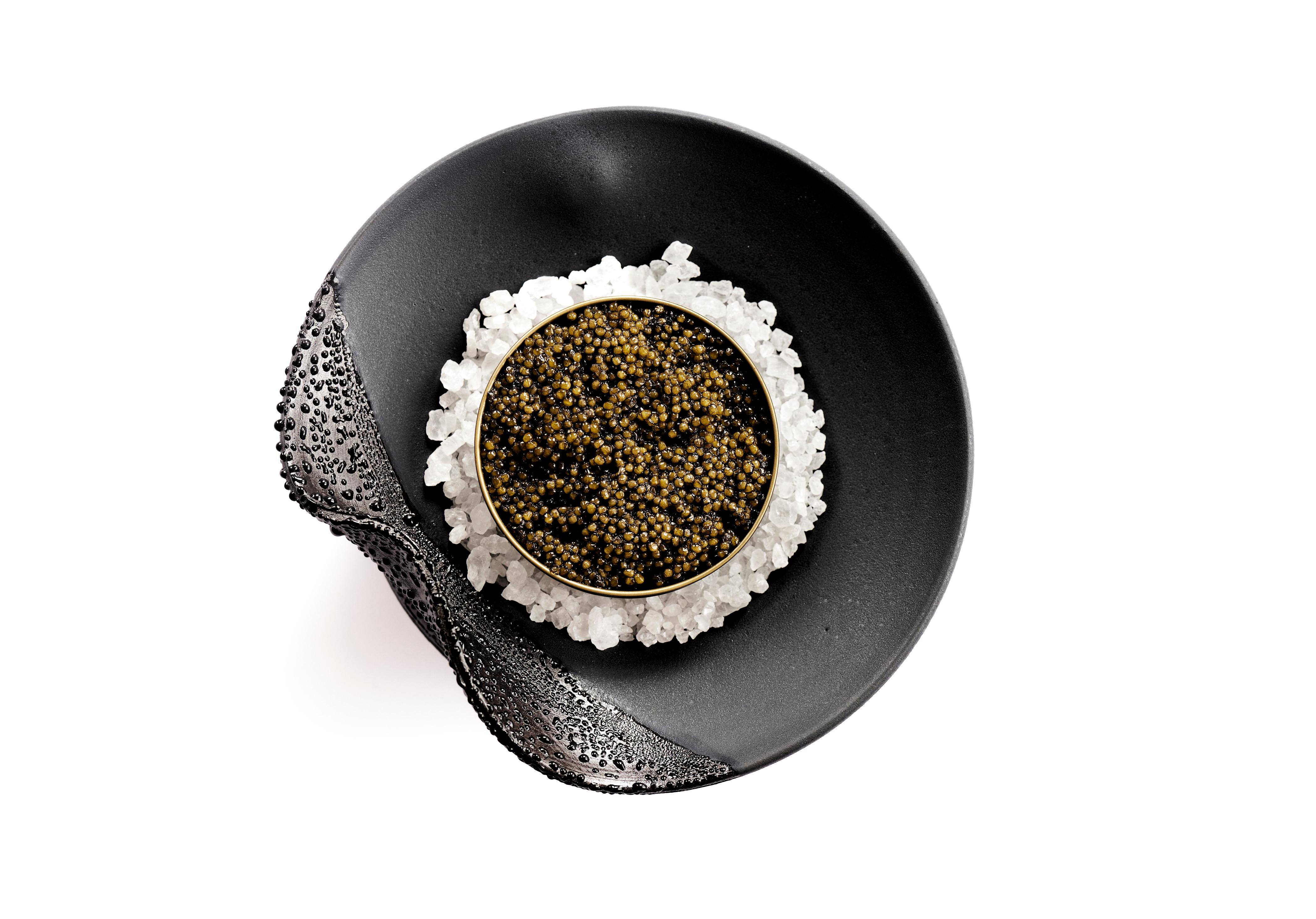 Kaviar-Serviergeschirr mit Glaskaviar-Eierschalen von Erin Hupp und Jason Stropko im Zustand „Neu“ im Angebot in Piedmont, CA