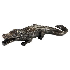 Cayman Bronzed4300 Sculpture