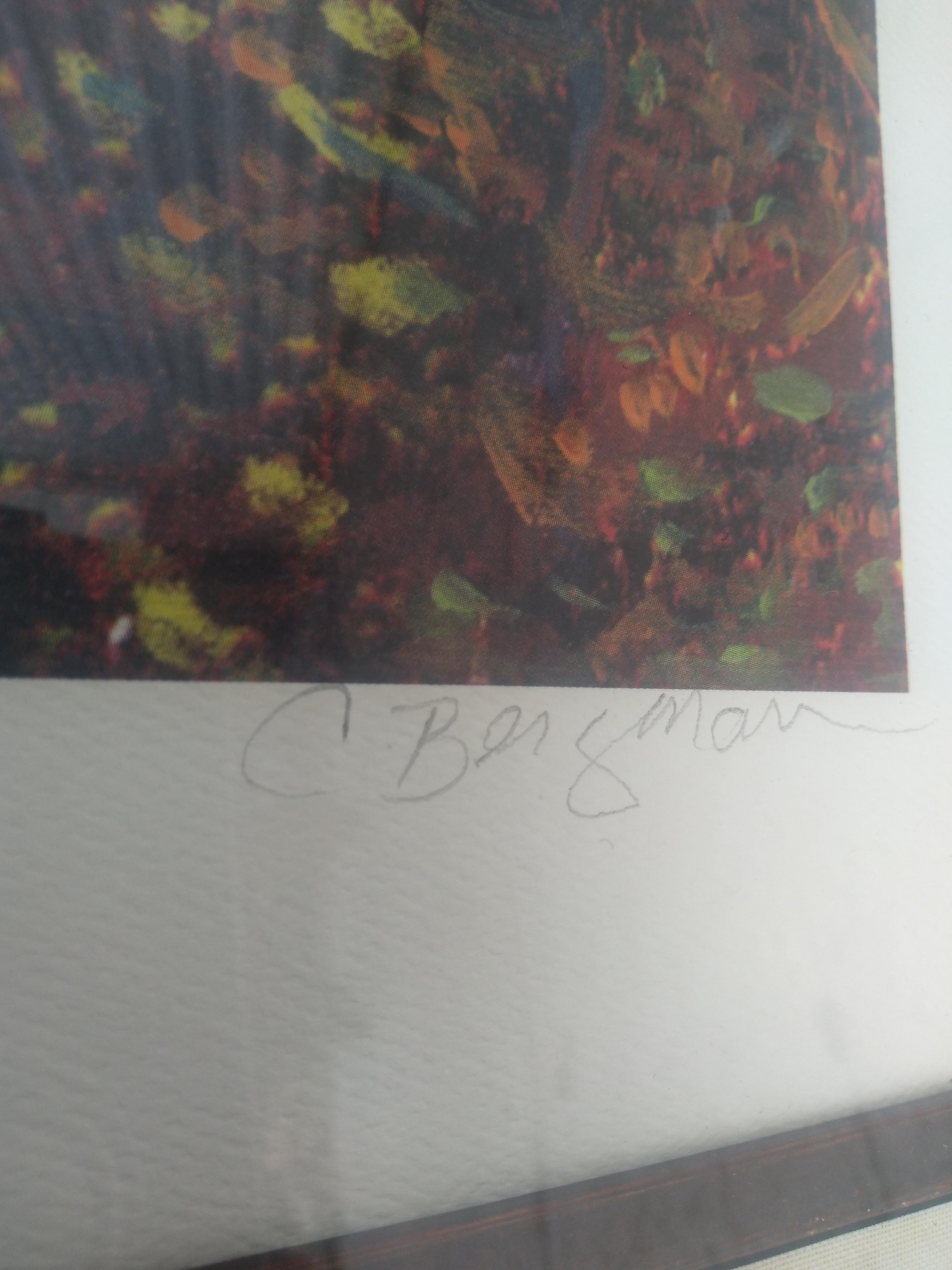 Diese Lithographie von C. Bergman wurde in einer Auflage von 400 Stück hergestellt. Dieses Stück ist die Nummer 292, die die Druckmaschine verlassen hat. Die Farben sind sehr kräftig. Es stellt eine Küstenlandschaft dar. 

Die Rahmengröße beträgt 32