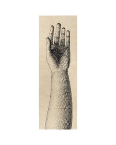 cc-tapis - Fornasetti Collection - MANO handmade rug in Wool