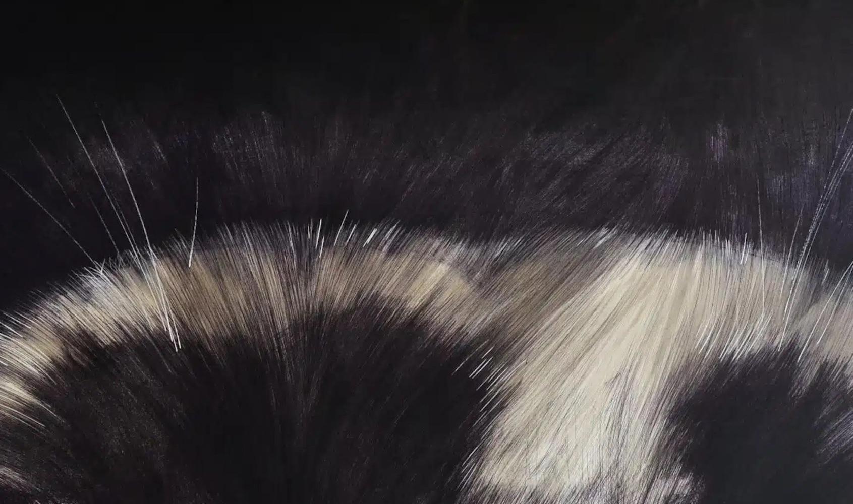 Atarax von Cécile Bisciglia - Große Kugelschreiberzeichnung auf Leinwand, dunkle Töne im Angebot 5