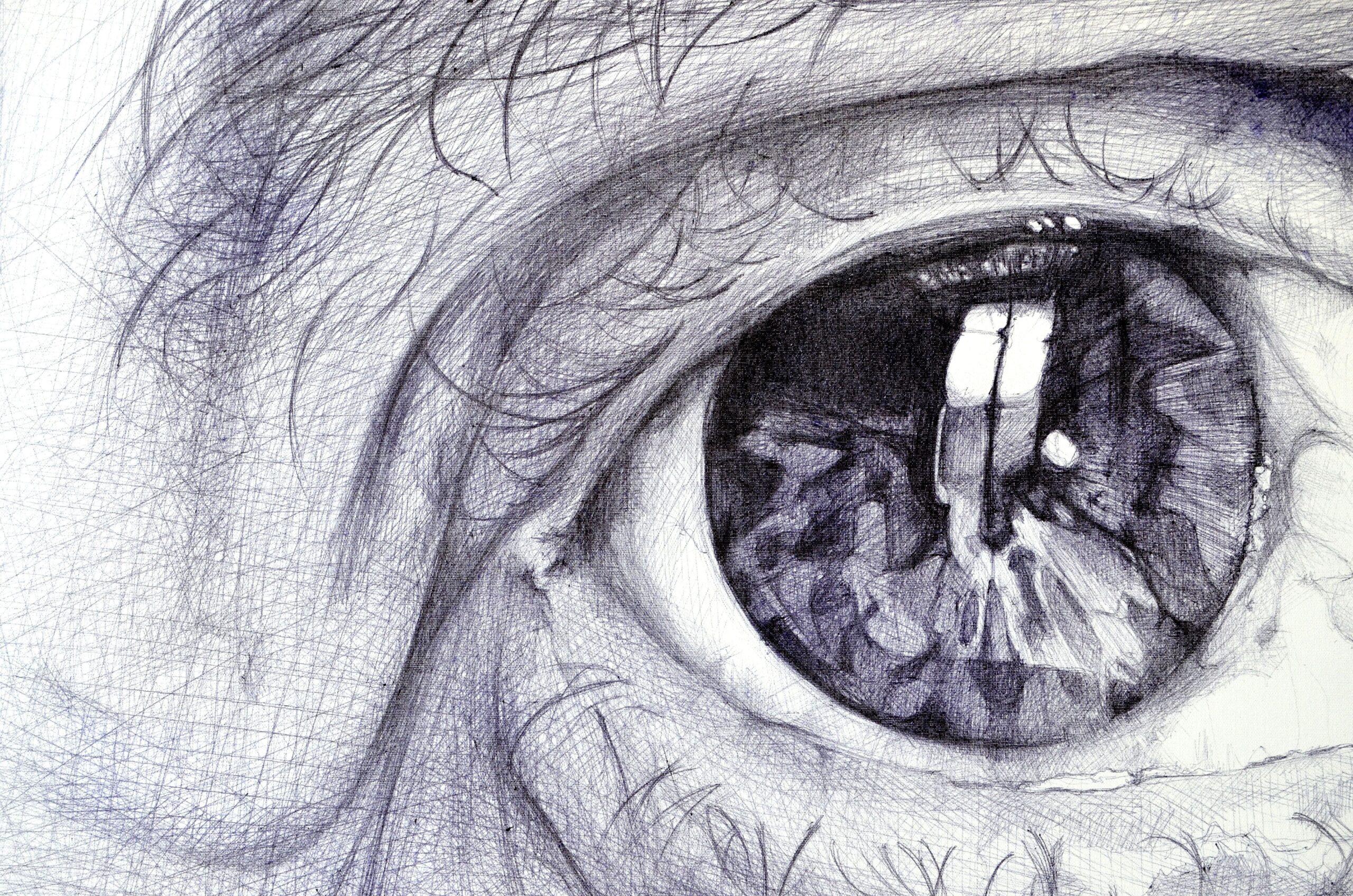 Luigi Pietro by Cécile Bisciglia - Ballpoint pen drawing on canvas, eyes, grey For Sale 2