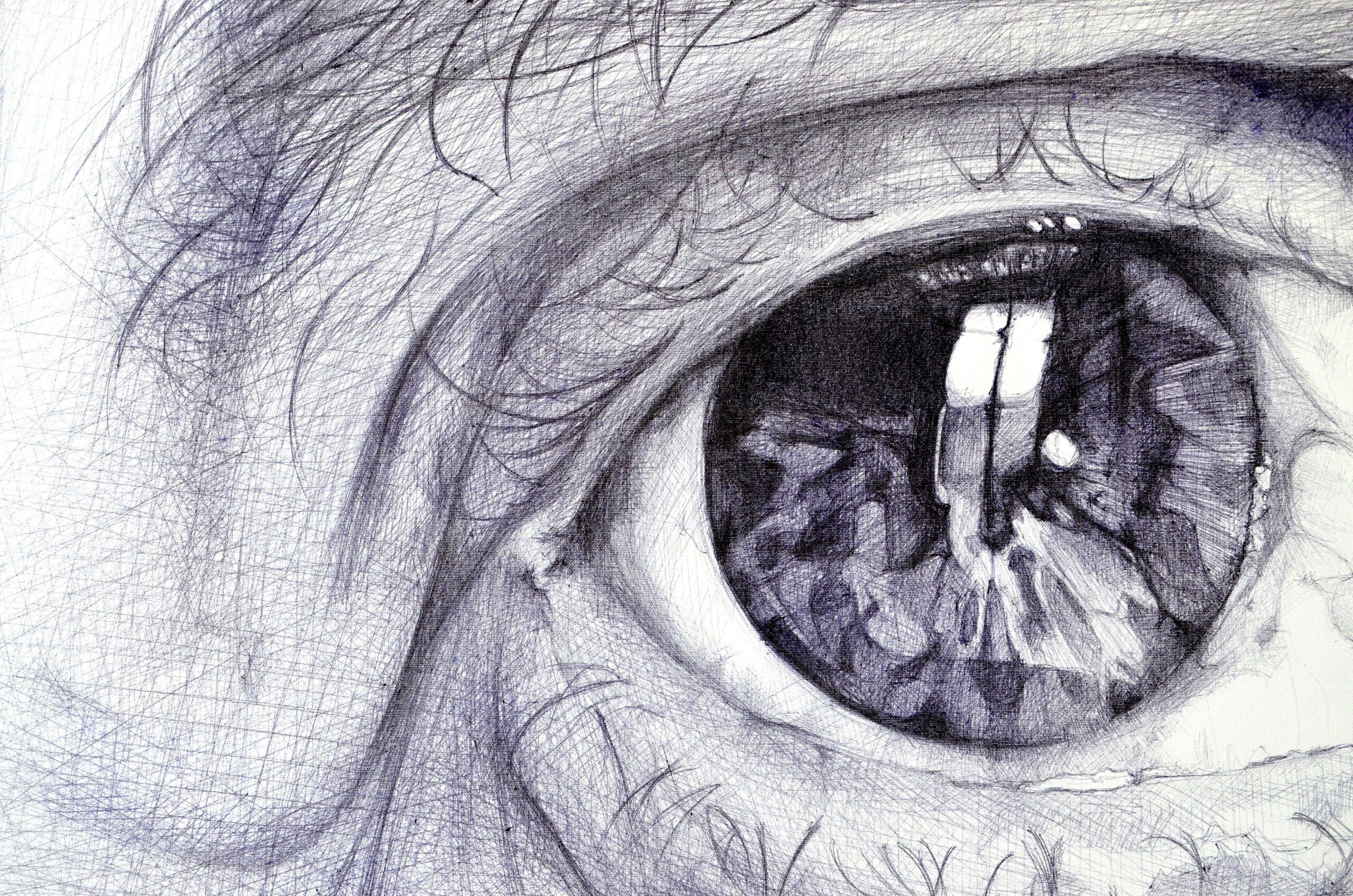 Luigi Pietro by Cécile Bisciglia - Ballpoint pen drawing on canvas, eyes, grey For Sale 3