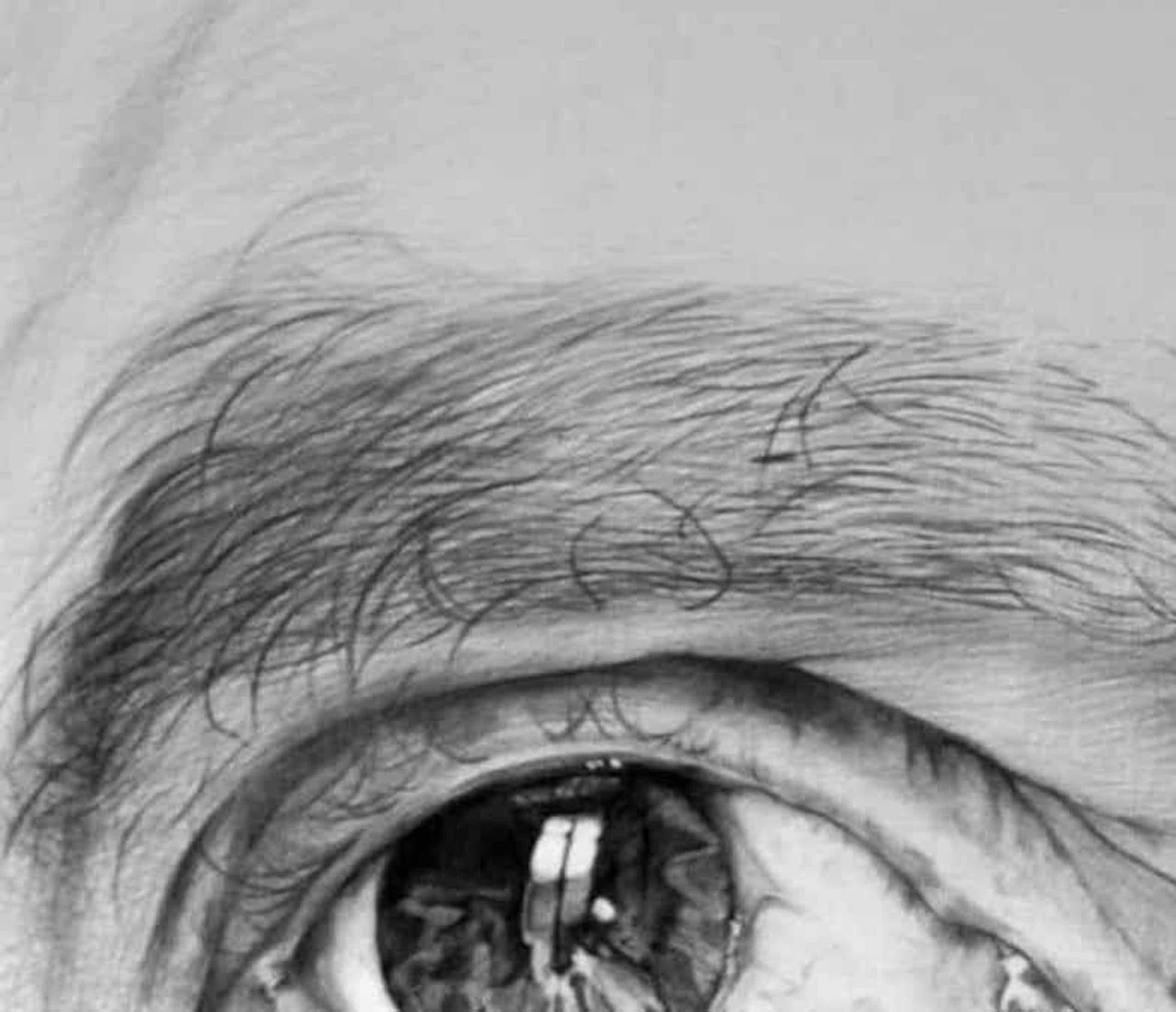 Luigi Pietro par Cécile Bisciglia - Dessin au stylo à bille sur toile, yeux, gris en vente 5