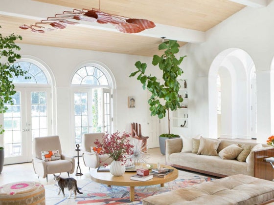 Nickey Kehoe Design