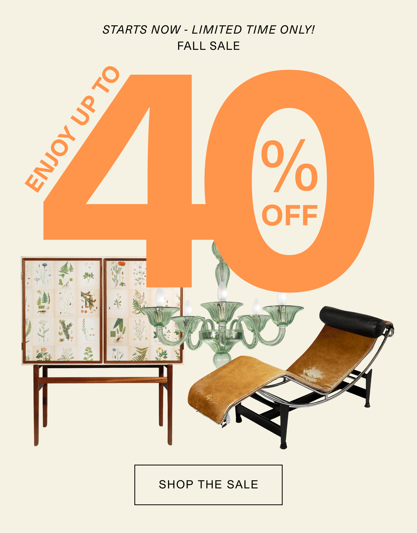 Shop the Sale