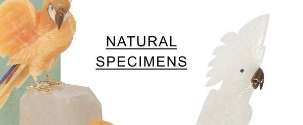 Natural Specimens